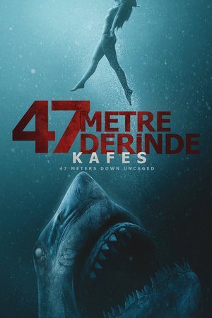 47 Metre Derinde Kafes