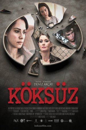 Köksüz 2013