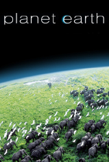 Planet Earth